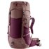 Deuter Futura Pro 34 SL Damen Wanderrucksack cassis-ashrose hier im Deuter-Shop günstig online bestellen