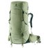 Deuter Aircontact Core 55+10 SL Damen Trekking Rucksack grove-ivy hier im Deuter-Shop günstig online bestellen