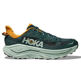 Hoka Challenger 8 Herren Trail Running Schuhe bay leaf-sage hier im HOKA-Shop günstig online bestellen