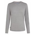 Icebreaker Merino Sphere III Longsleeve Tee Langarmshirt Damen metro heather