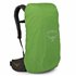Osprey Kestrel LT 28 Trekkingrucksack moss green hier im Osprey-Shop günstig online bestellen