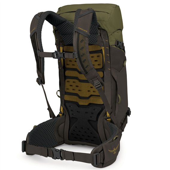 Osprey Kestrel LT 28 Trekkingrucksack moss green hier im Osprey-Shop günstig online bestellen