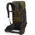 Osprey Kestrel LT 28 Trekkingrucksack moss green hier im Osprey-Shop günstig online bestellen