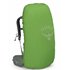 Osprey Kyte 48 M/L Trekkingrucksack Damen rocky brook green hier im Osprey-Shop günstig online bestellen