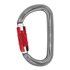 Petzl Am'D D-förmiger Verschlusskarabiner mit Twist-Lock