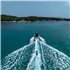 Jobe Slash Kneeboard Knieboard sunset purple hier im Jobe-Shop günstig online bestellen