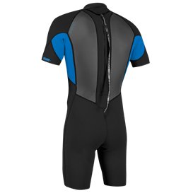 ONeill Youth Reactor-2 2mm Back Zip S/S Spring Kinder Neopreananzug schwarz-blau hier im ONeill-Shop günstig online bestellen