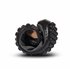 Leguano Jaspar Barfußschuhe für Damen und Herren forester hier im Leguano-Shop günstig online bestellen