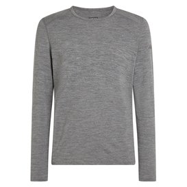 Icebreaker 200 Oasis Longsleeve Crewe Herren gritstone hthr hier im Icebreaker-Shop günstig online bestellen