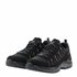 Lowa Innox Evo Ii GTX Ws Damen Multifunktionsschuhe black-champagne hier im Lowa-Shop günstig online bestellen