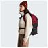 The North Face Borealis Daypack Freizeitrucksack burgundy crush-tnf black hier im The North Face-Shop günstig online bestellen