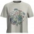 Icebreaker Merino 150 Tech Lite Shortsleeve Crop Tee NZ Flora T-Shirt Damen ecru heather hier im Icebreaker-Shop günstig online 