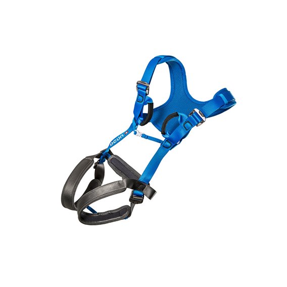 Ocun Doppler Kindergurt gepolsterter Ganzkörper Klettergurt blue hier im Ocun-Shop günstig online bestellen