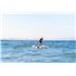 Aqua Marina Wave 8.8 SUP komplett Set aufblasbares Stand Up Paddle Board hier im Aqua Marina-Shop günstig online bestellen