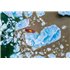 Gumotex Thaya 2 Personen Kajak Drop Stitch Luftboot rot