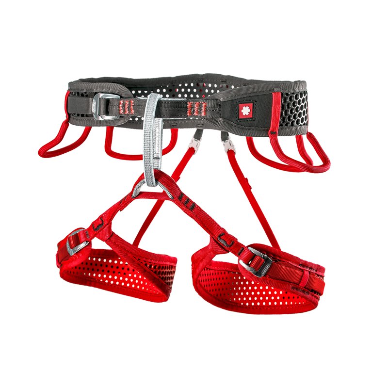 Ocun Webee Damen Klettergurt Hüftgurt black-red hier im Ocun-Shop günstig online bestellen