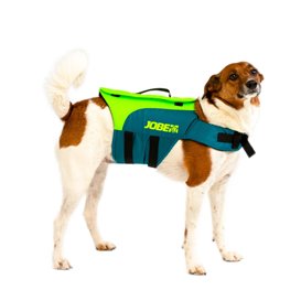 Jobe Pet Vest Hunde Schwimmweste lime teal hier im Jobe-Shop günstig online bestellen