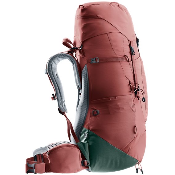 Deuter Aircontact Lite 45 + 10 SL Damen Trekkingrucksack caspia-ivy hier im Deuter-Shop günstig online bestellen