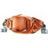 Deuter Pulse 5 Bauchtasche Hüfttasche chestnut-teal