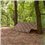 ARTS-Nature Shelter Tarp Notzelt Komplett-Set camouflage