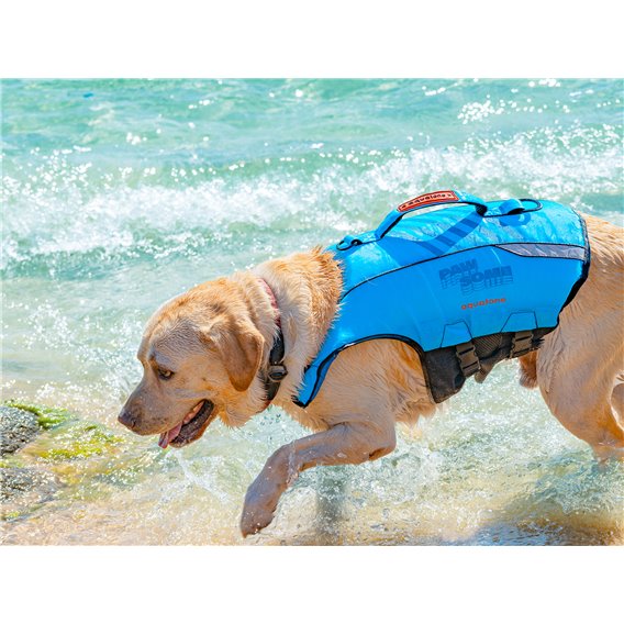 Aquatone Pawsome Hunde Schwimmweste blau
