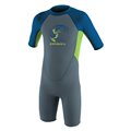 ONeill Toddler Reactor II 2 mm Back Zip Shorty Kinder Neoprenanzug graphite-ocean