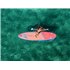 Aquatone Wave 10.6 All-Round SUP aufblasbares Stand up Paddle Board Set hier im Aquatone-Shop günstig online bestellen