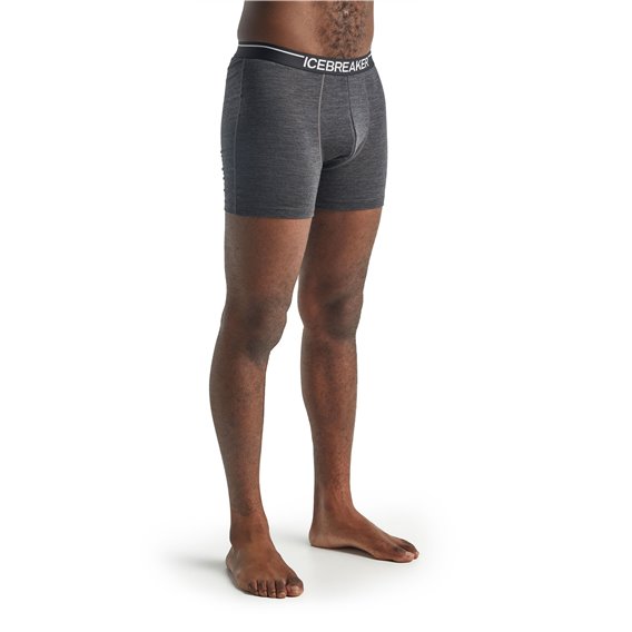 Icebreaker Merino 150 Anatomica Boxershorts Herren Unterwäsche jet heather hier im Icebreaker-Shop günstig online bestellen