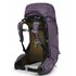 Osprey Aura Ag 50 Damen Trekkingrucksack enchantment purple hier im Osprey-Shop günstig online bestellen