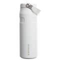 Stanley IceFlow Bottle Flip Straw 2.0 700ml Thermobecher mit Strohhalm frost