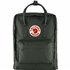 Fjällräven Kanken Rucksack Klassiker Retro Daypack 16L forest green