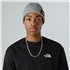 The North Face Salty Lined Beanie Mütze tnf light grey heather hier im The North Face-Shop günstig online bestellen