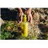 GRAYL UltraPress Purifier Filterflasche 500ml Trinkflasche Wasserfilter Wasseraufbereiter forager moss hier im GRAYL-Shop günsti