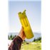 GRAYL UltraPress Purifier Filterflasche 500ml Trinkflasche Wasserfilter Wasseraufbereiter forager moss hier im GRAYL-Shop günsti