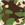 camouflage (3)